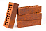 xipl2une99dkny3587s7ove9co0cn6rm.jpg